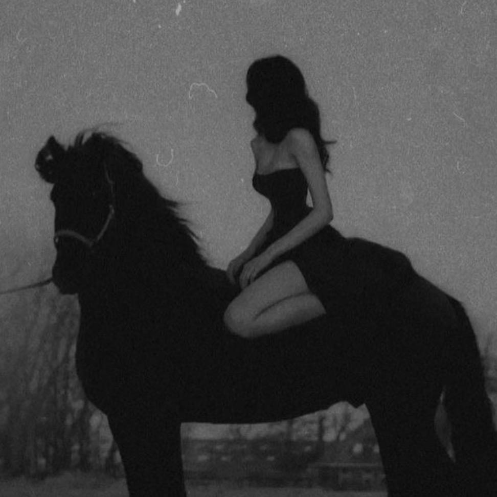 匿名小熊Little Bear