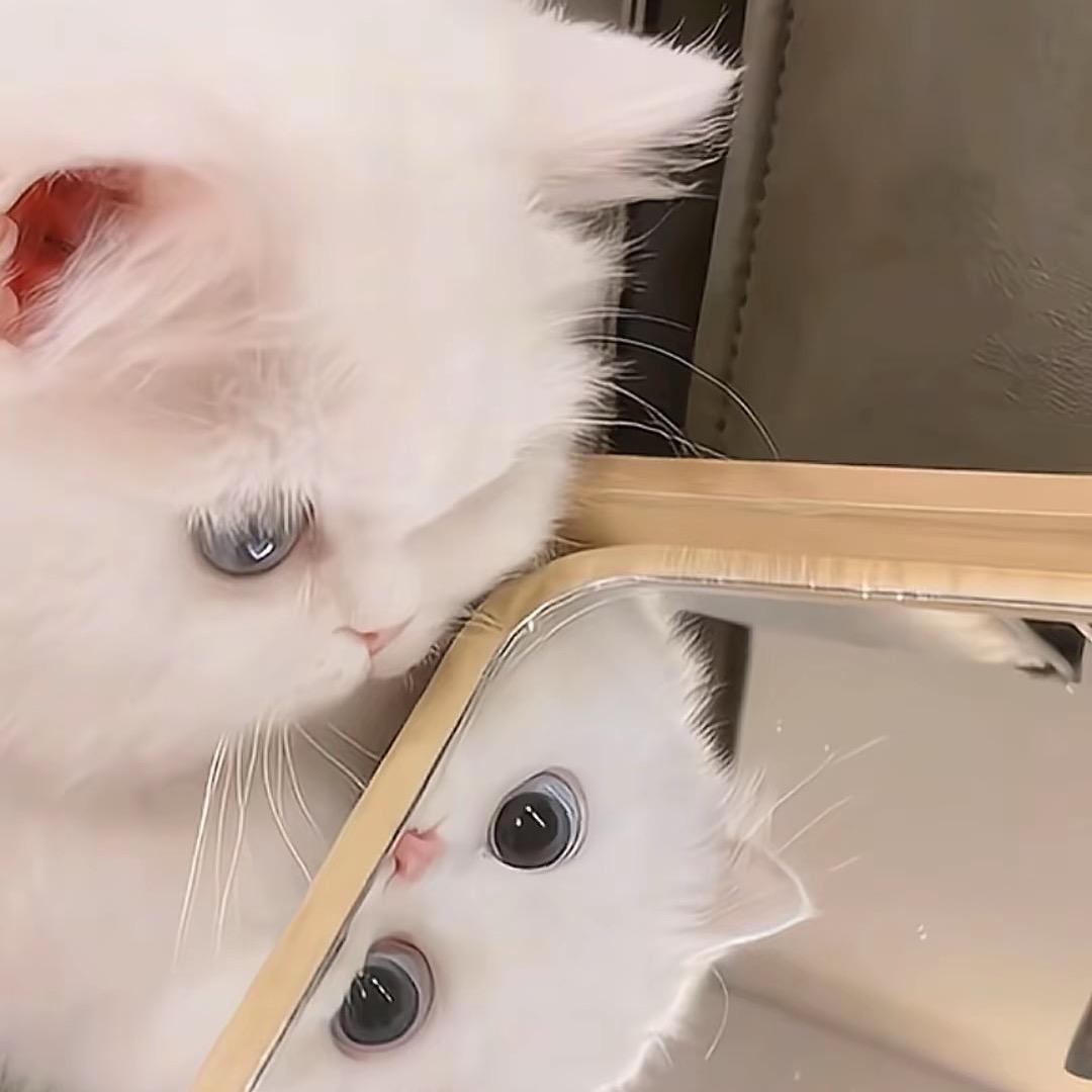 小K无敌