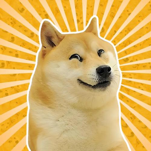 狗头园长
