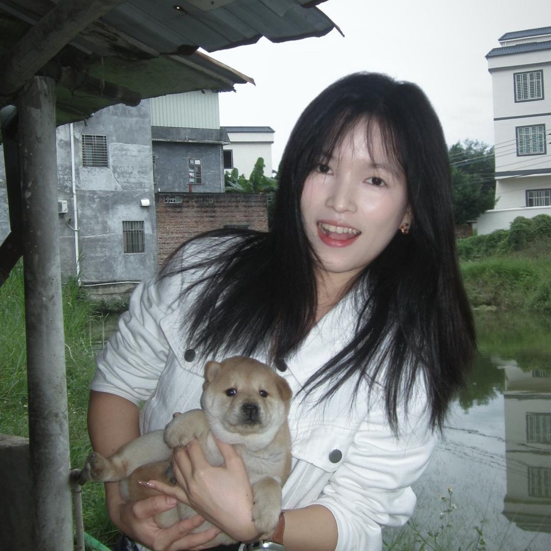 平平无奇的小陈