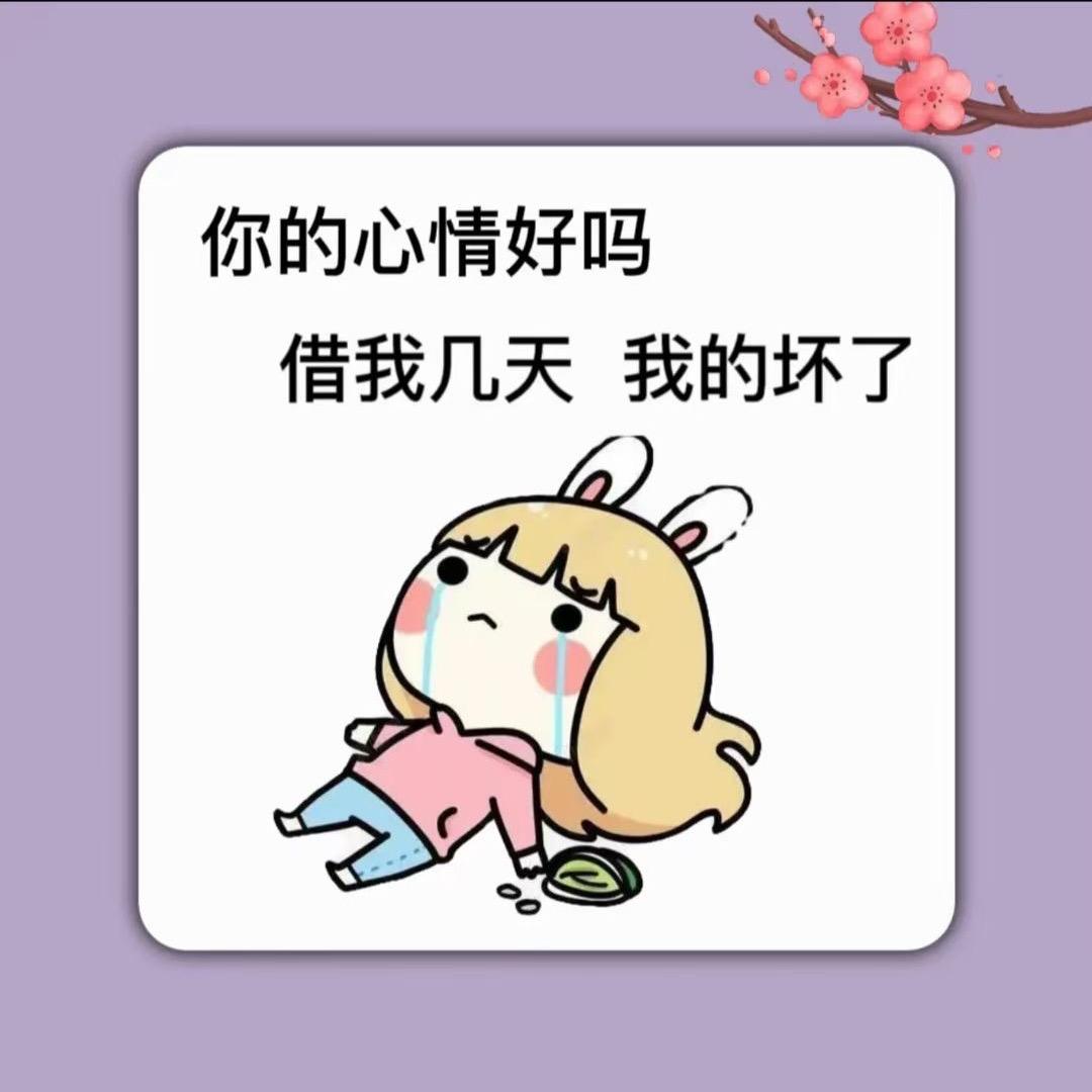 放鸽子