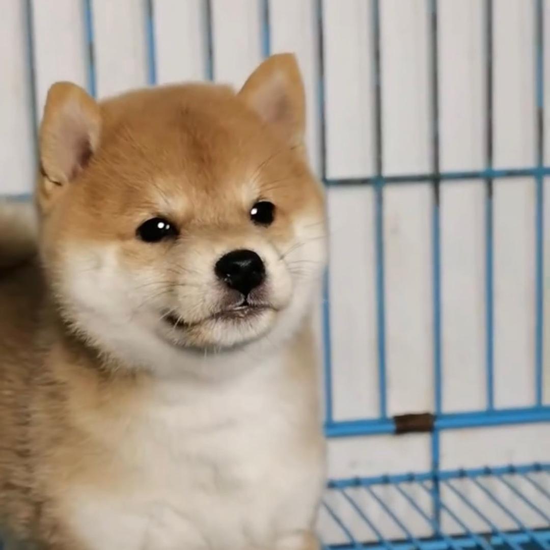 用户3002818798497