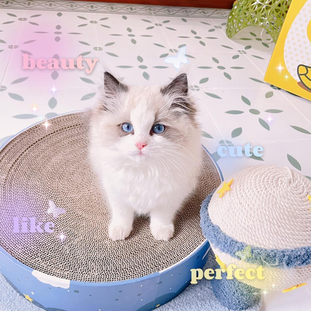 𝘛𝙖𝙞𝙛𝙚𝙣g̊🌪️