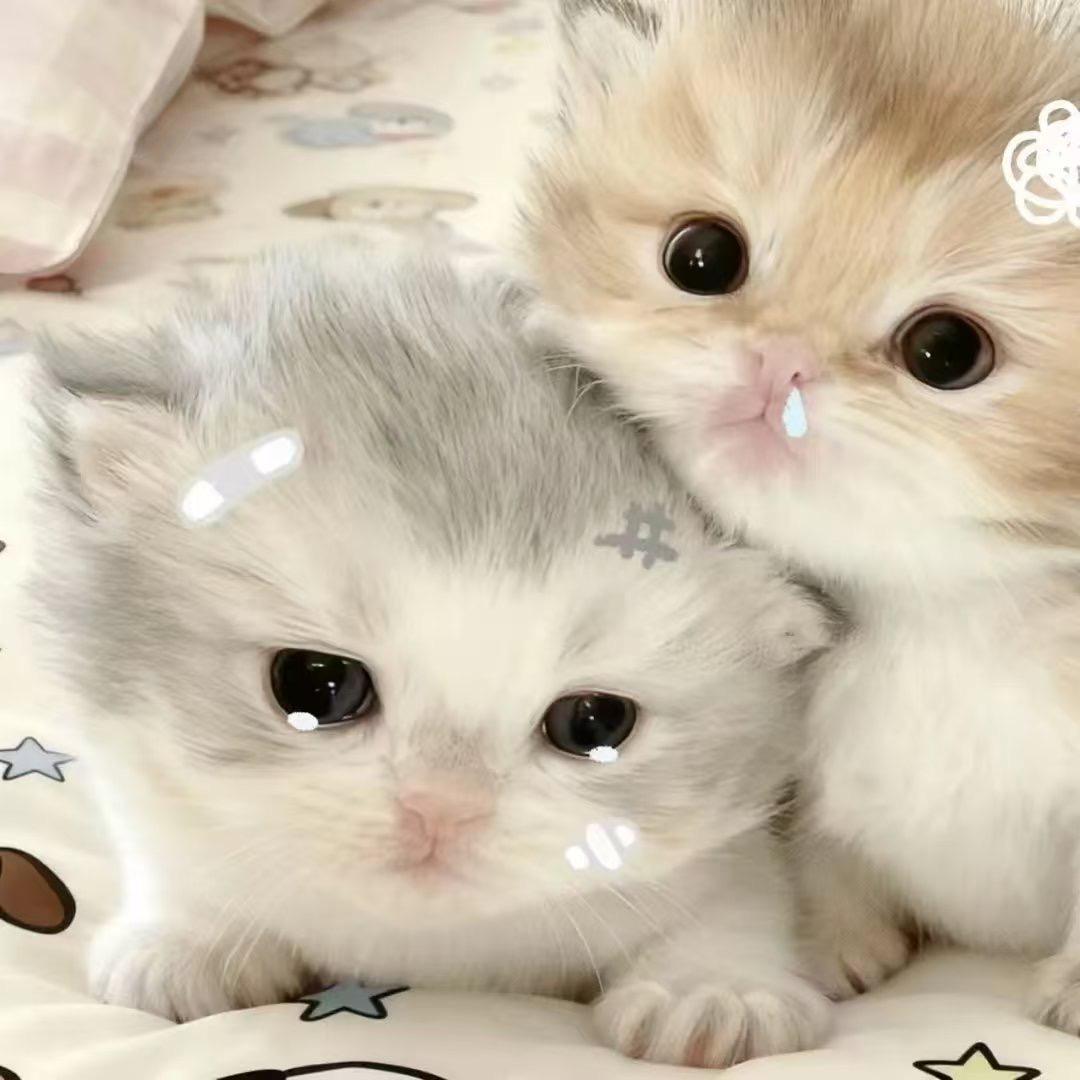 陆柒.