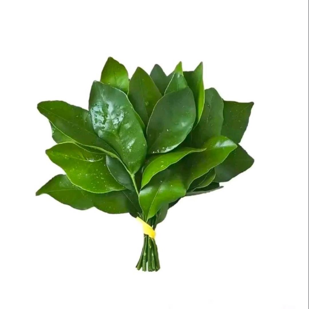懒洋洋