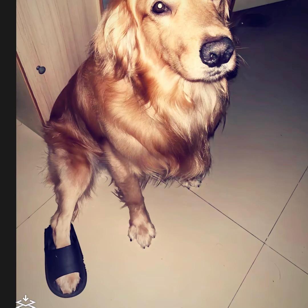 给你一锤就美了·