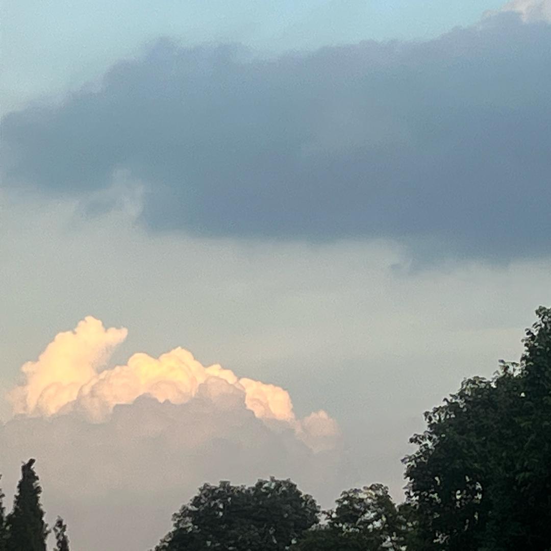 重生之我在拍天空