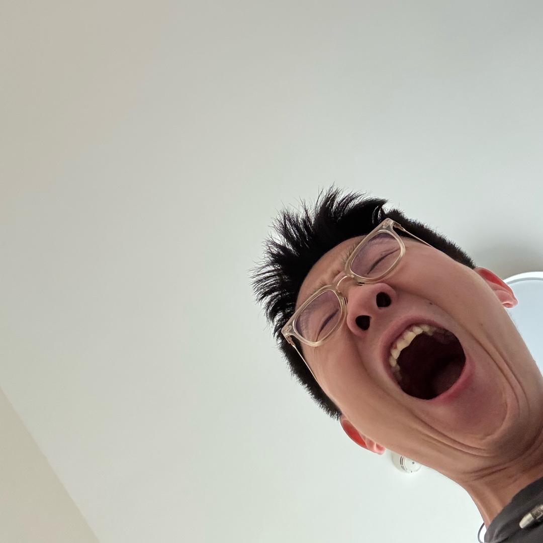 Manticore小狮