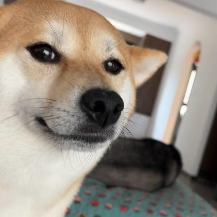 超级多拉炮