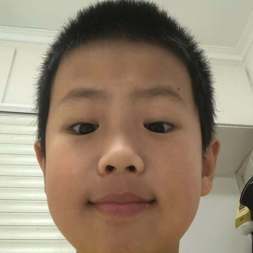 小猫锅²³³³（暑假倒计时）