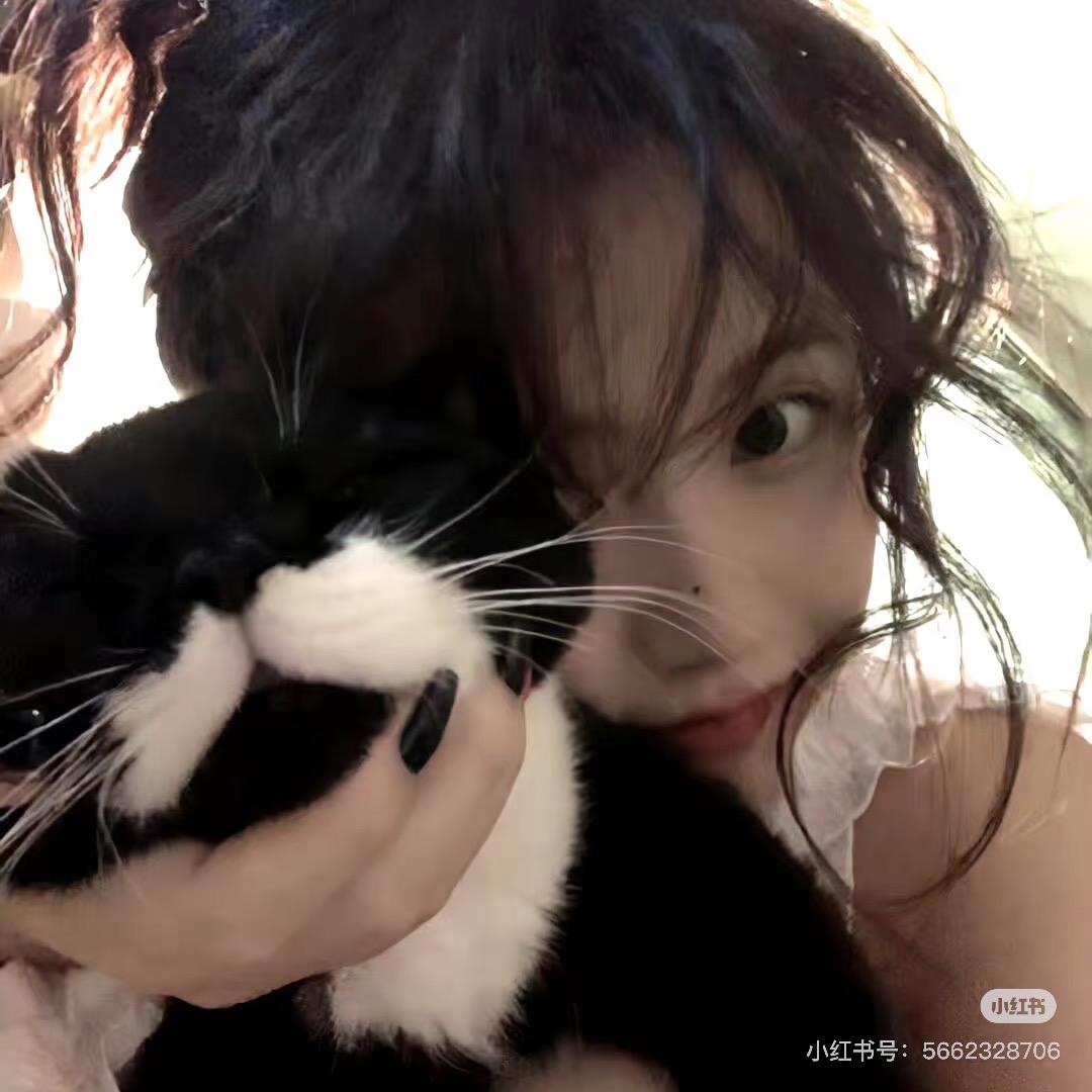 三口一个大猫咪🐱