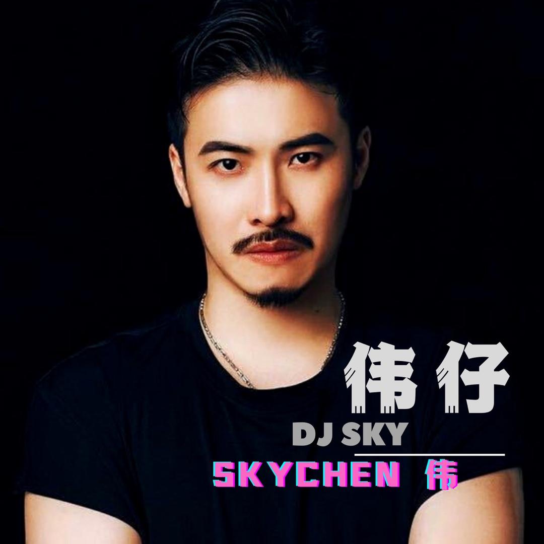 DJ伟仔音乐站