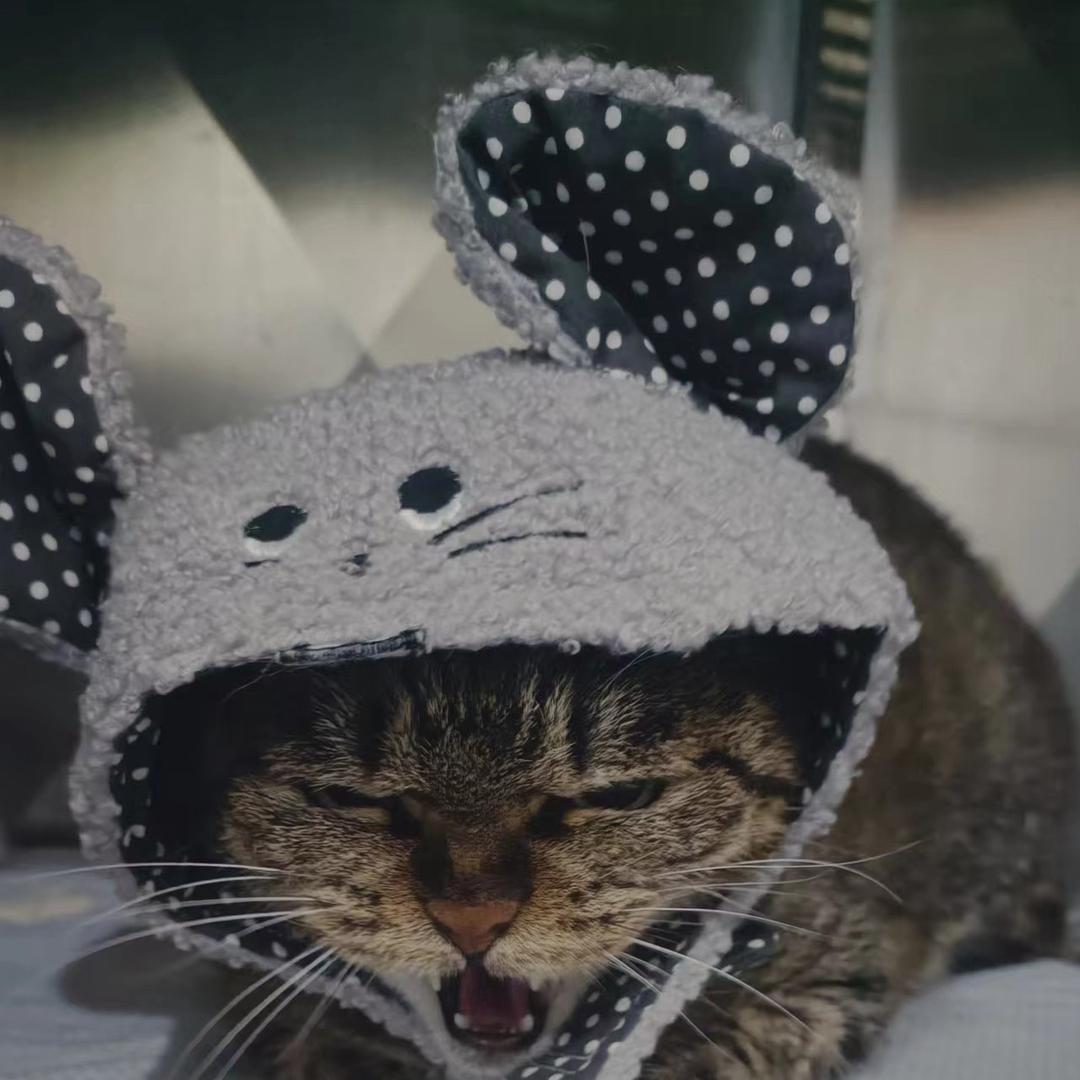 一个账号而已...