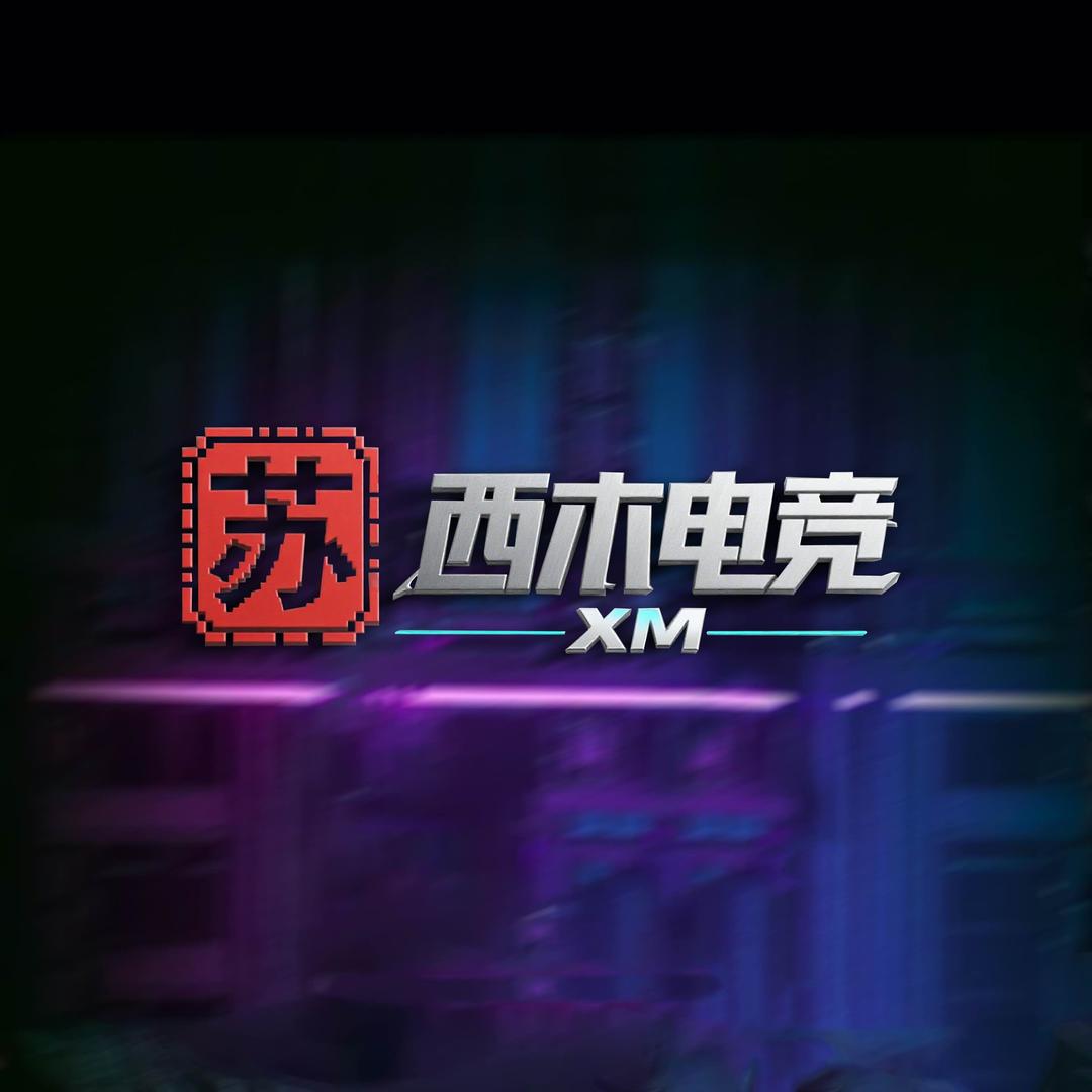苏州西木电竞-阿龙
