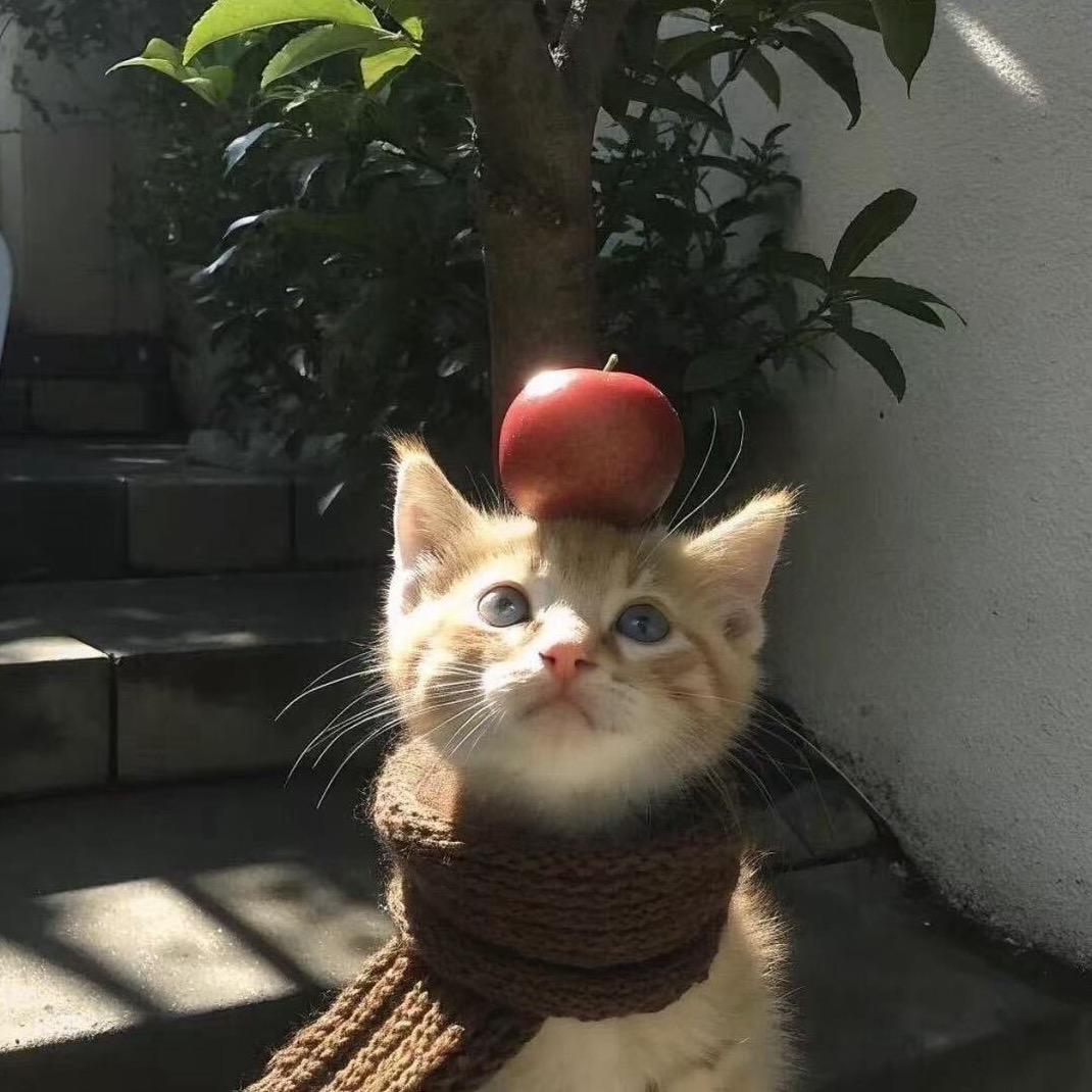 Q_Q