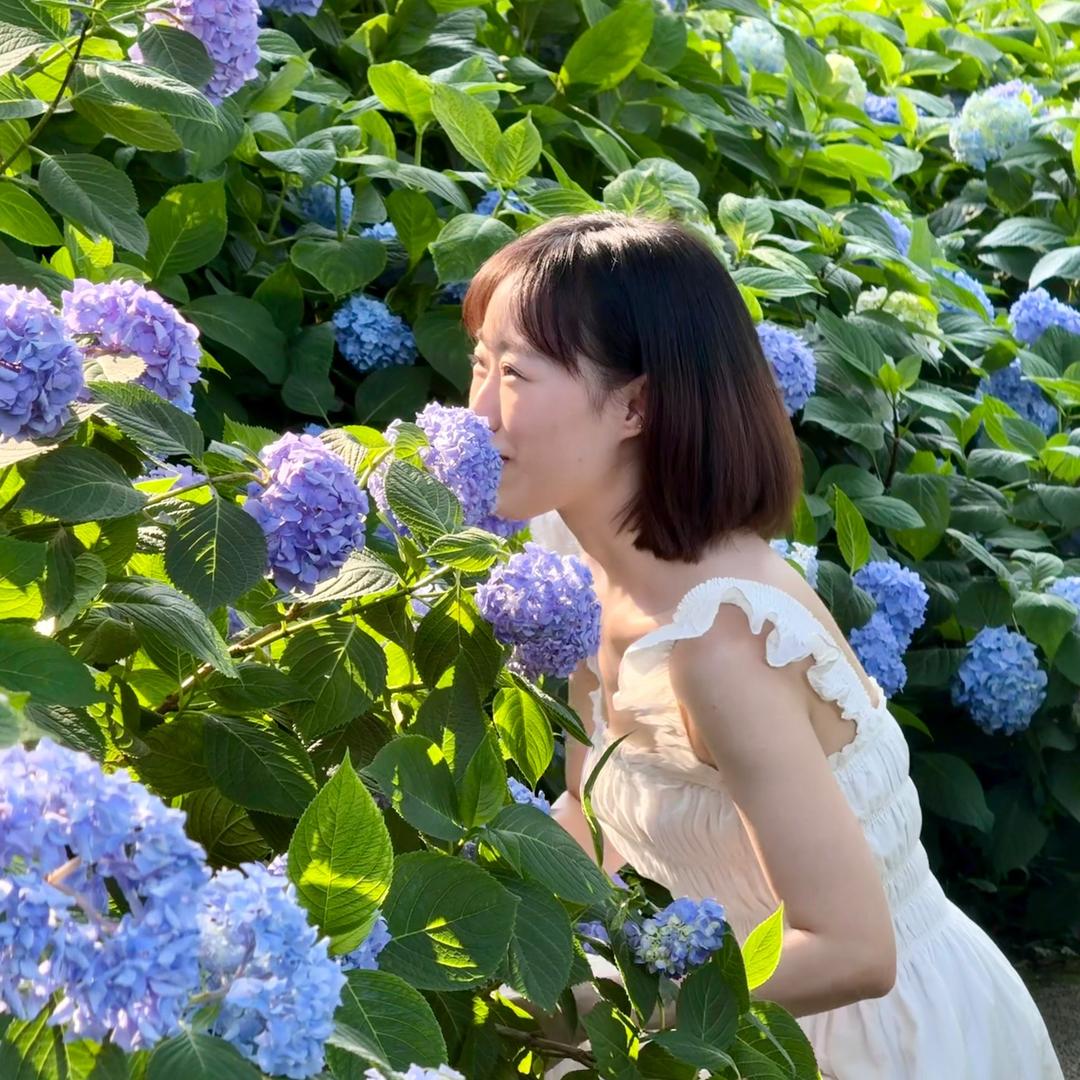 十六不吃鱼🌻