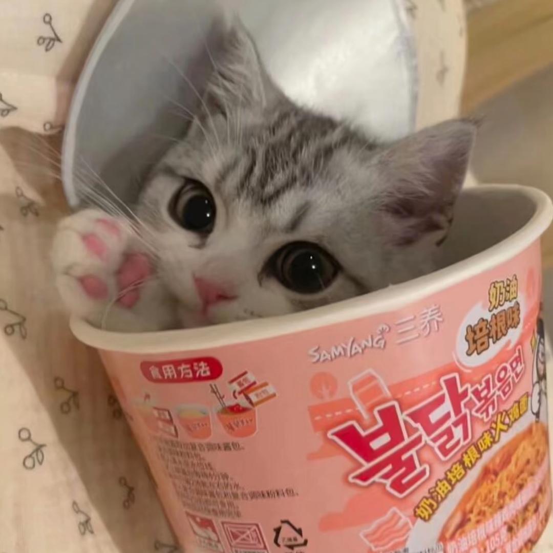 失眠小鱼