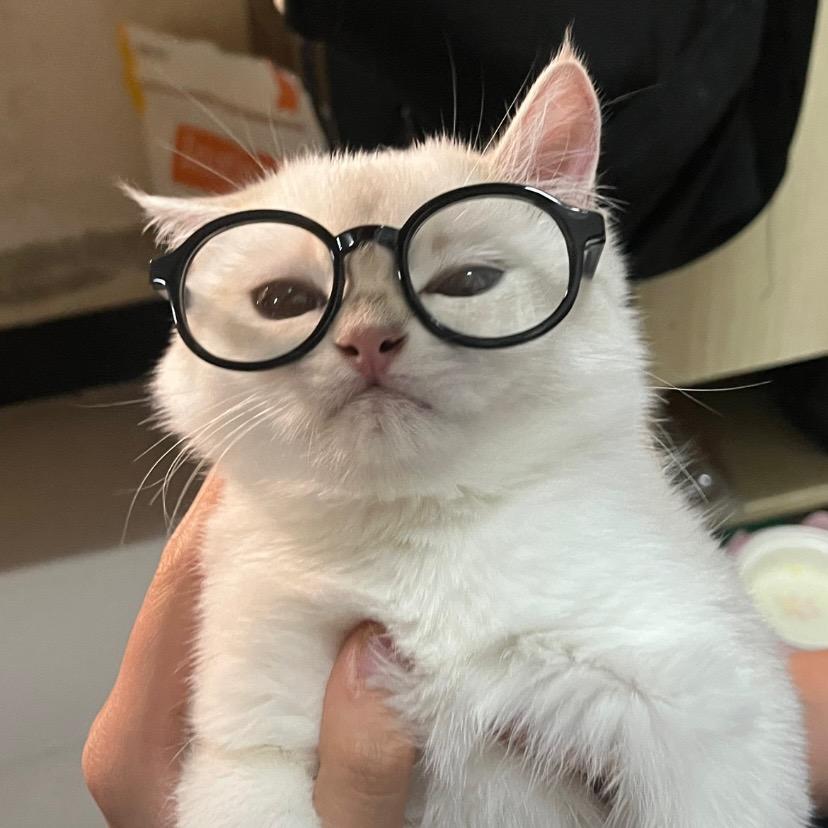 关你西红柿啊^_^