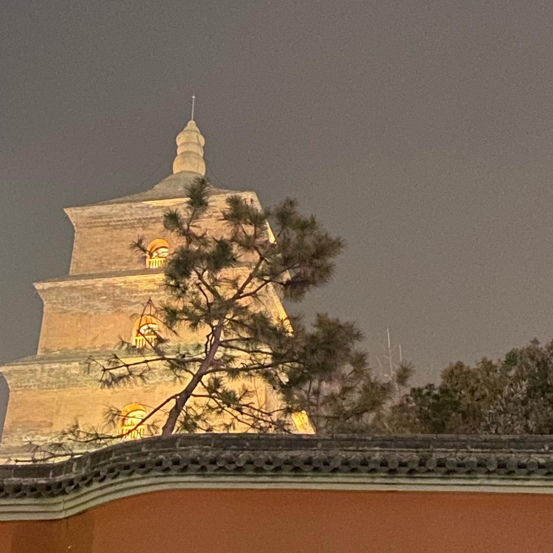 岛佬
