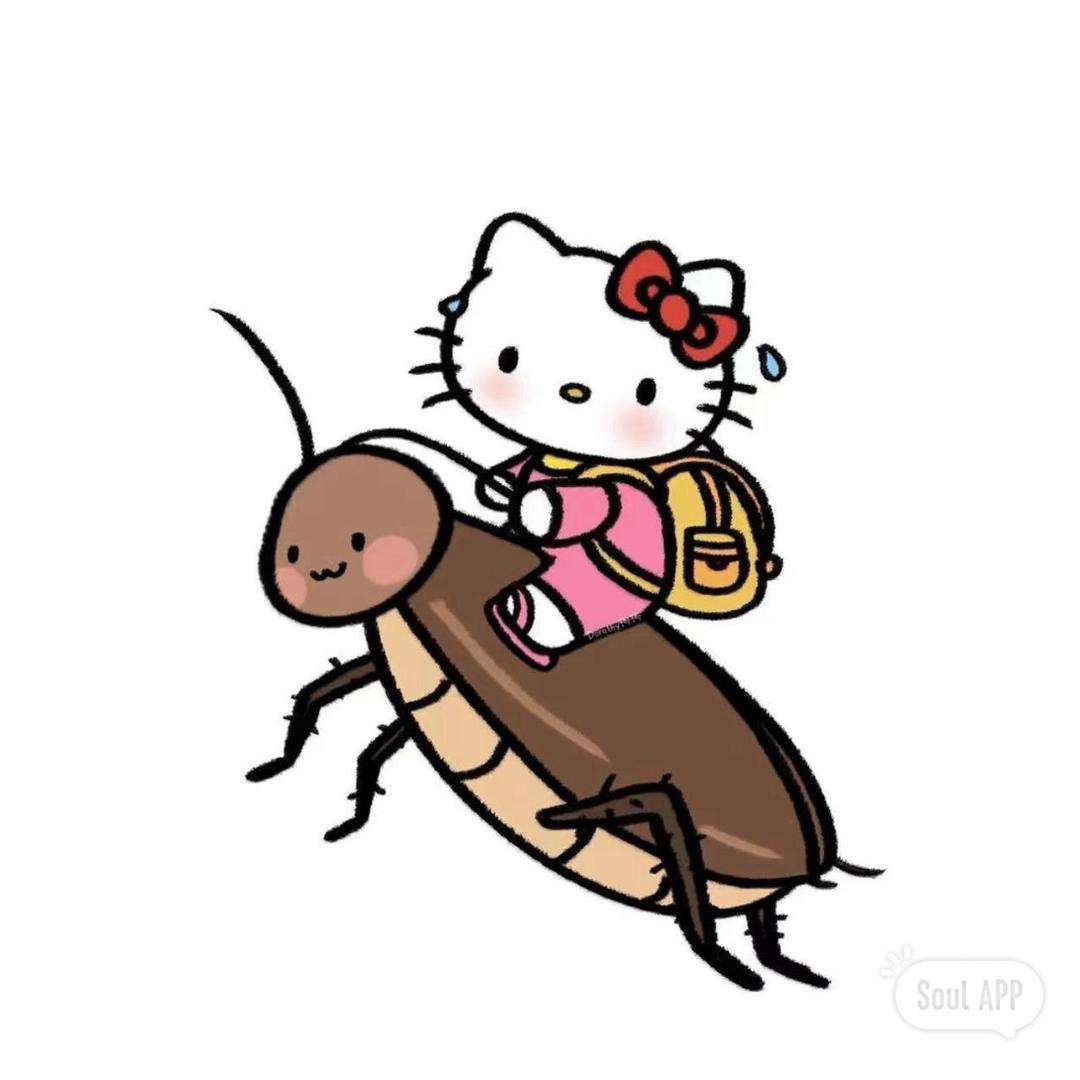 抛壳蟹🦀