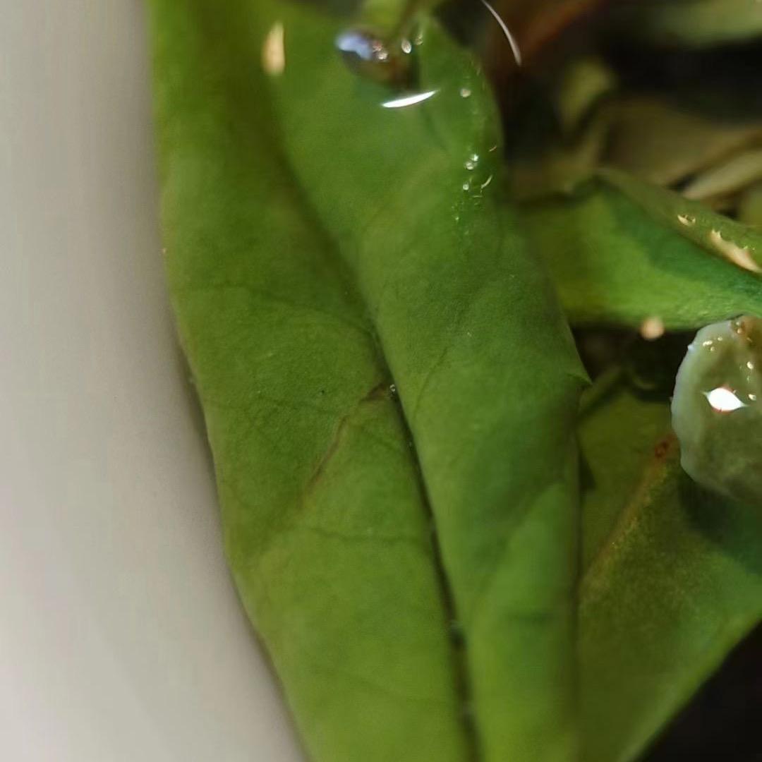 津香茶居