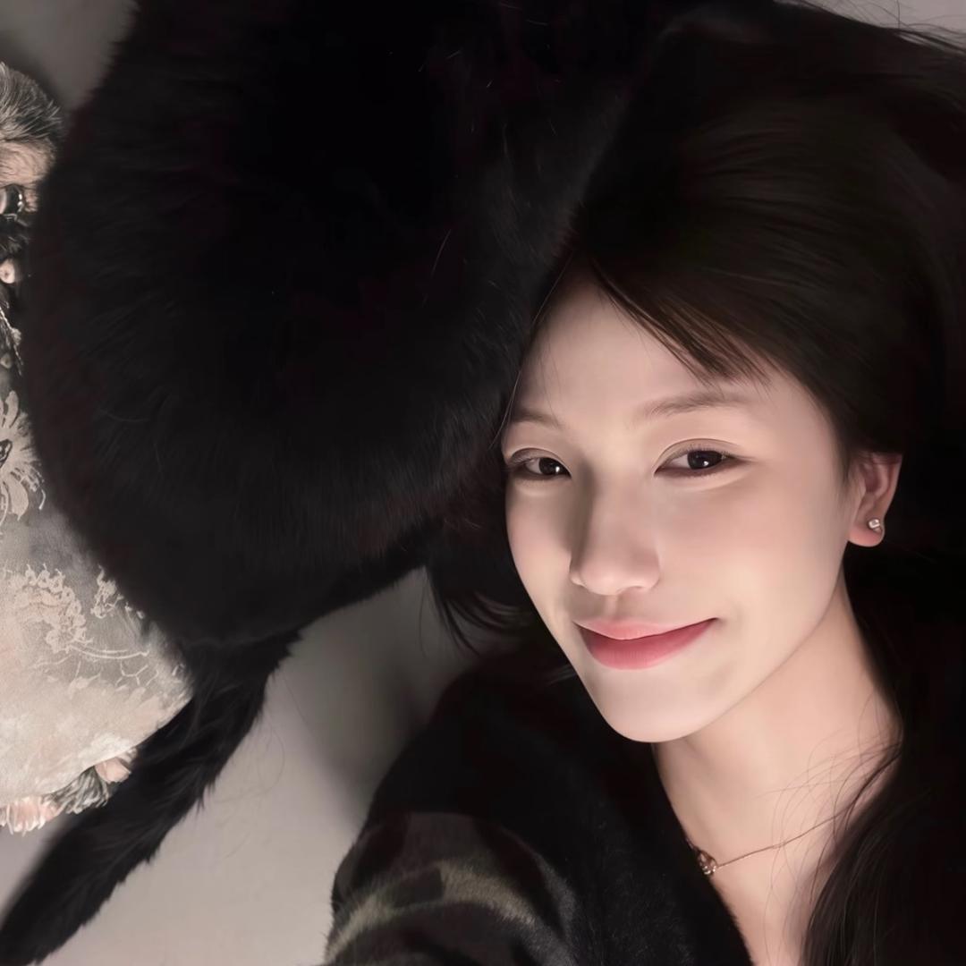 万千少女的梦