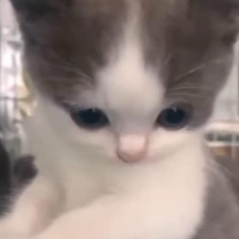 源于亚洲