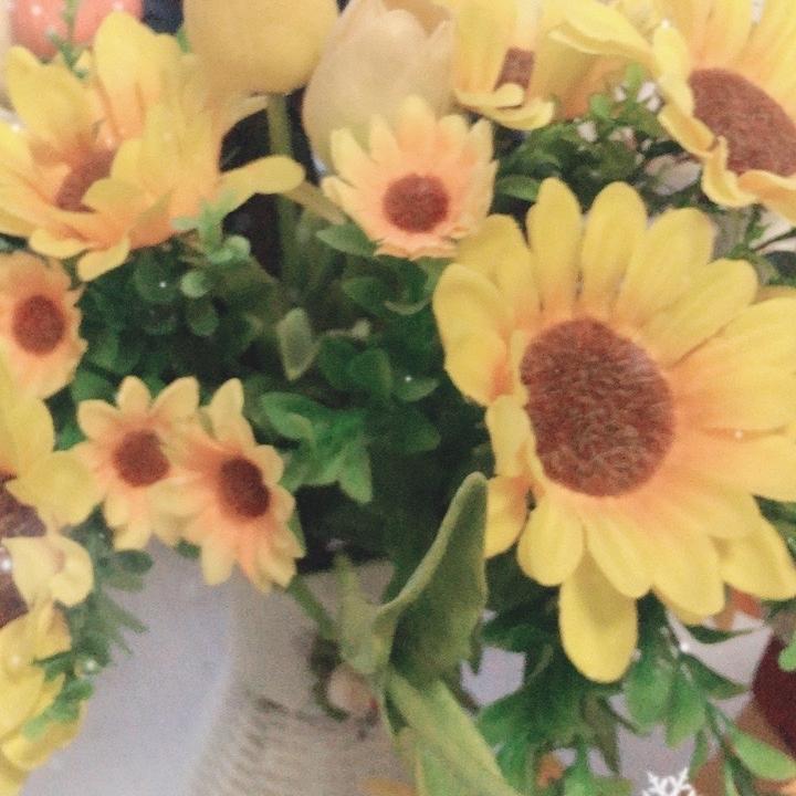 易云文化