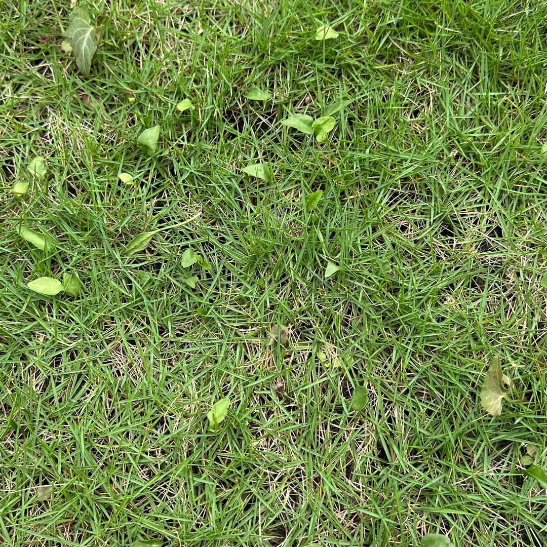 简单过好每一天