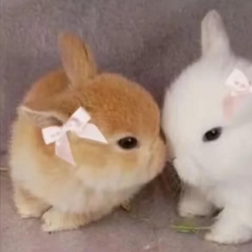 喻头大老板