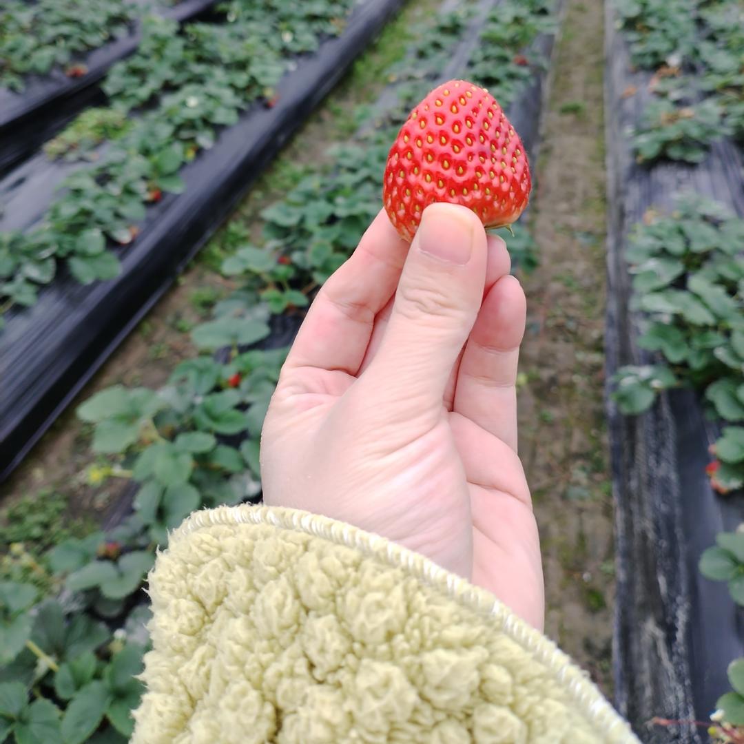 三胎宝妈自学英语