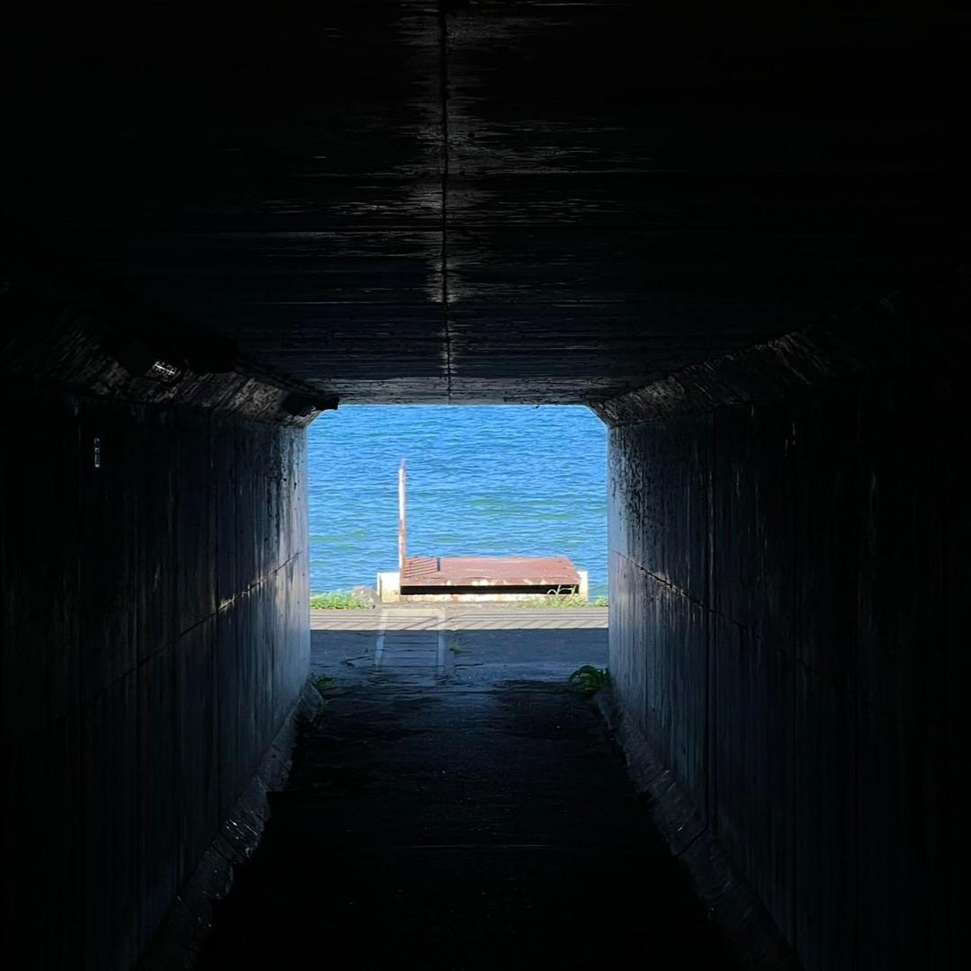 哇塞快看是笨蛋