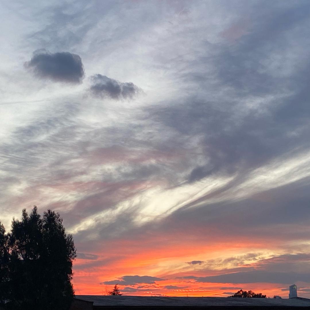 云南二手车“疯子”