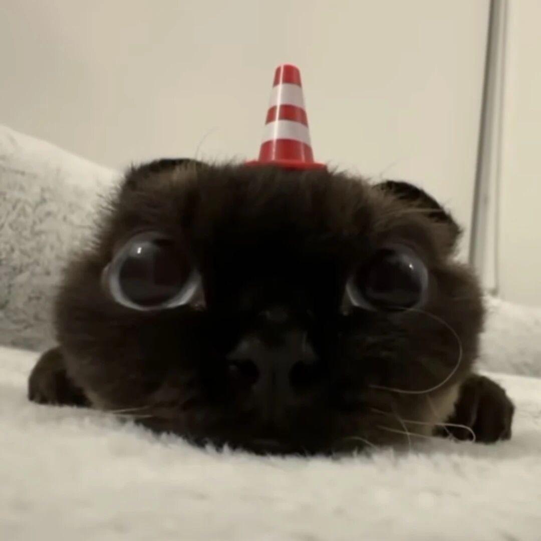 HwYi