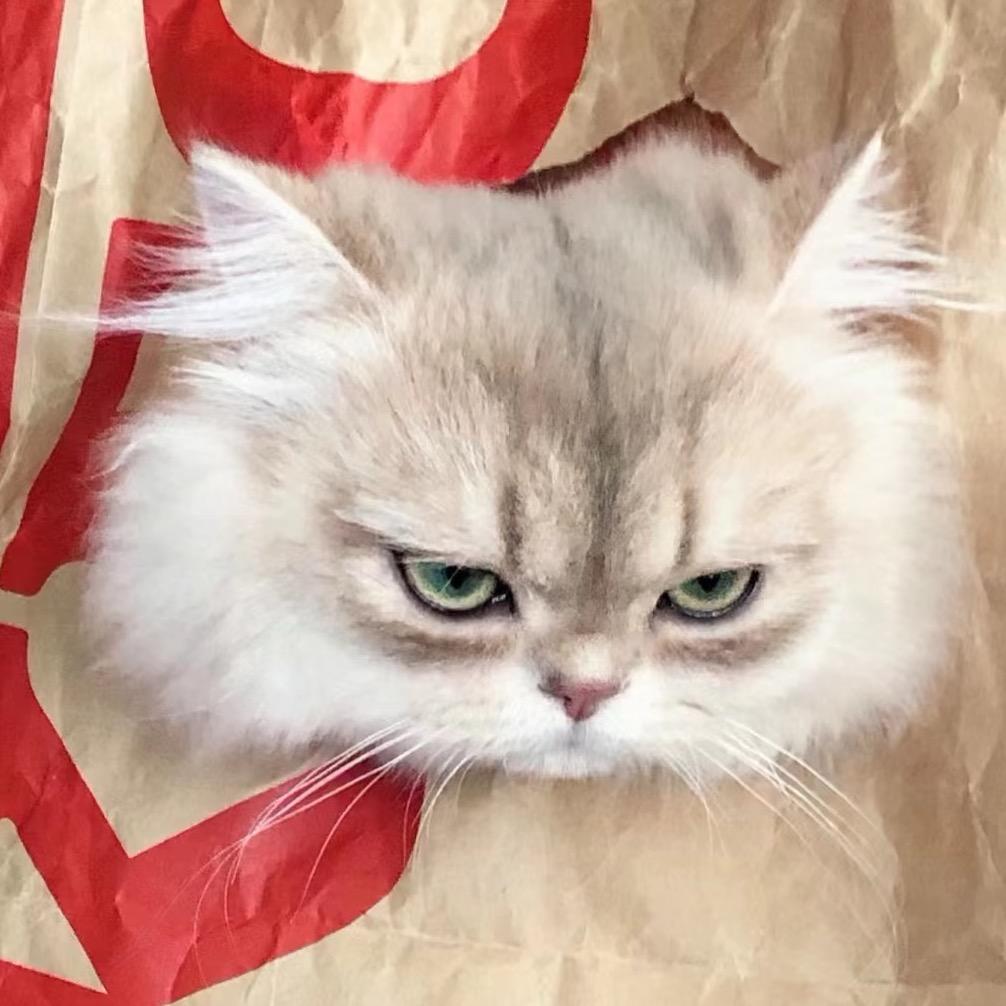 吃十四碗螺蛳粉🍜