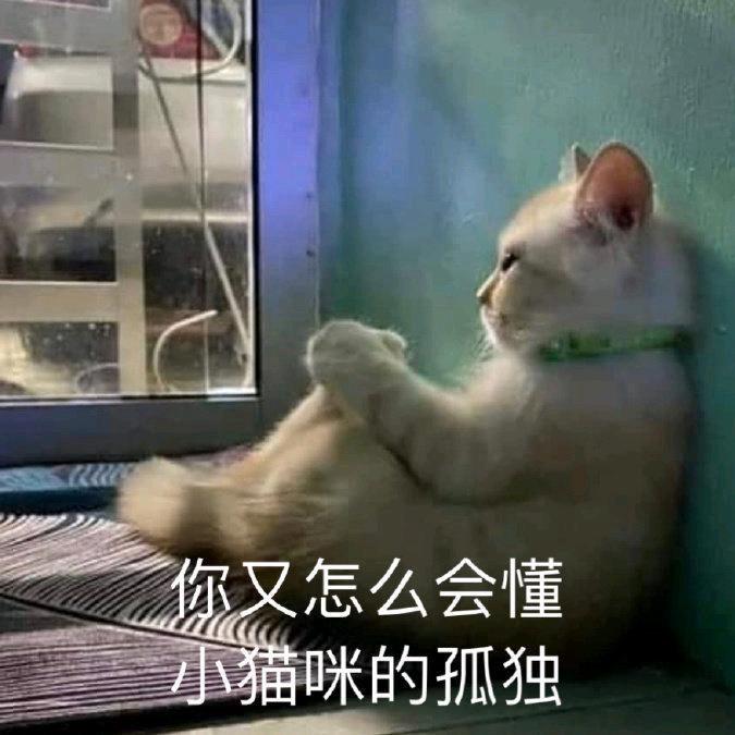 某不知名不热心市民w（活人微鼠纯牛马版）