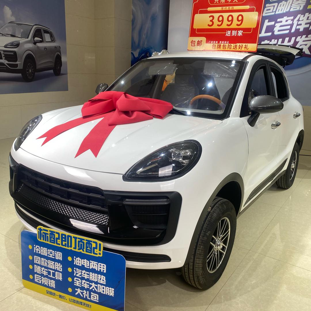 苏枝桥老年四轮新能源电动车-栗子