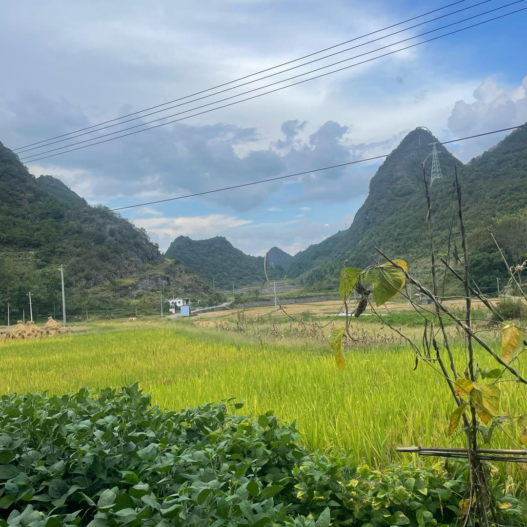 框架卷发梳