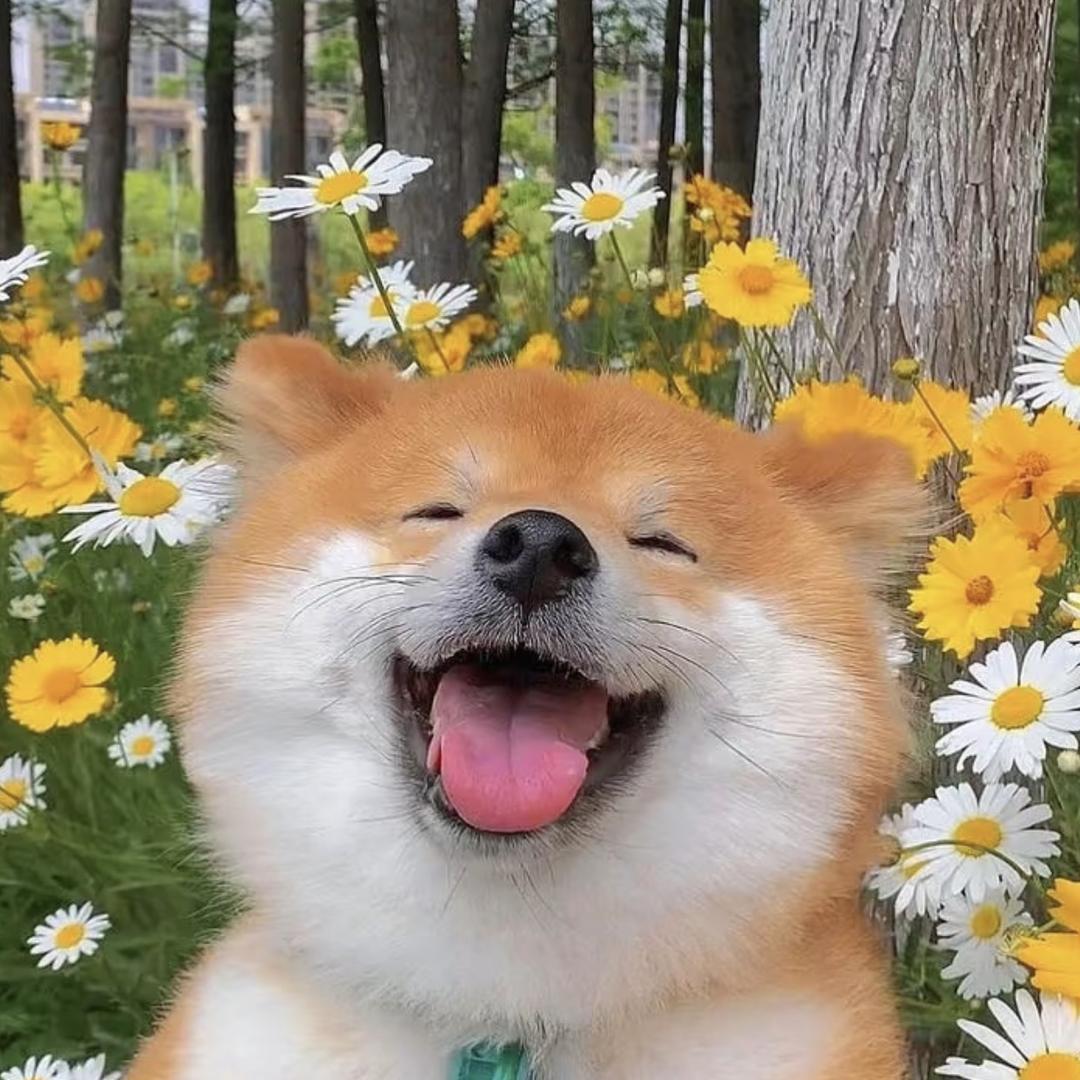 轻汐