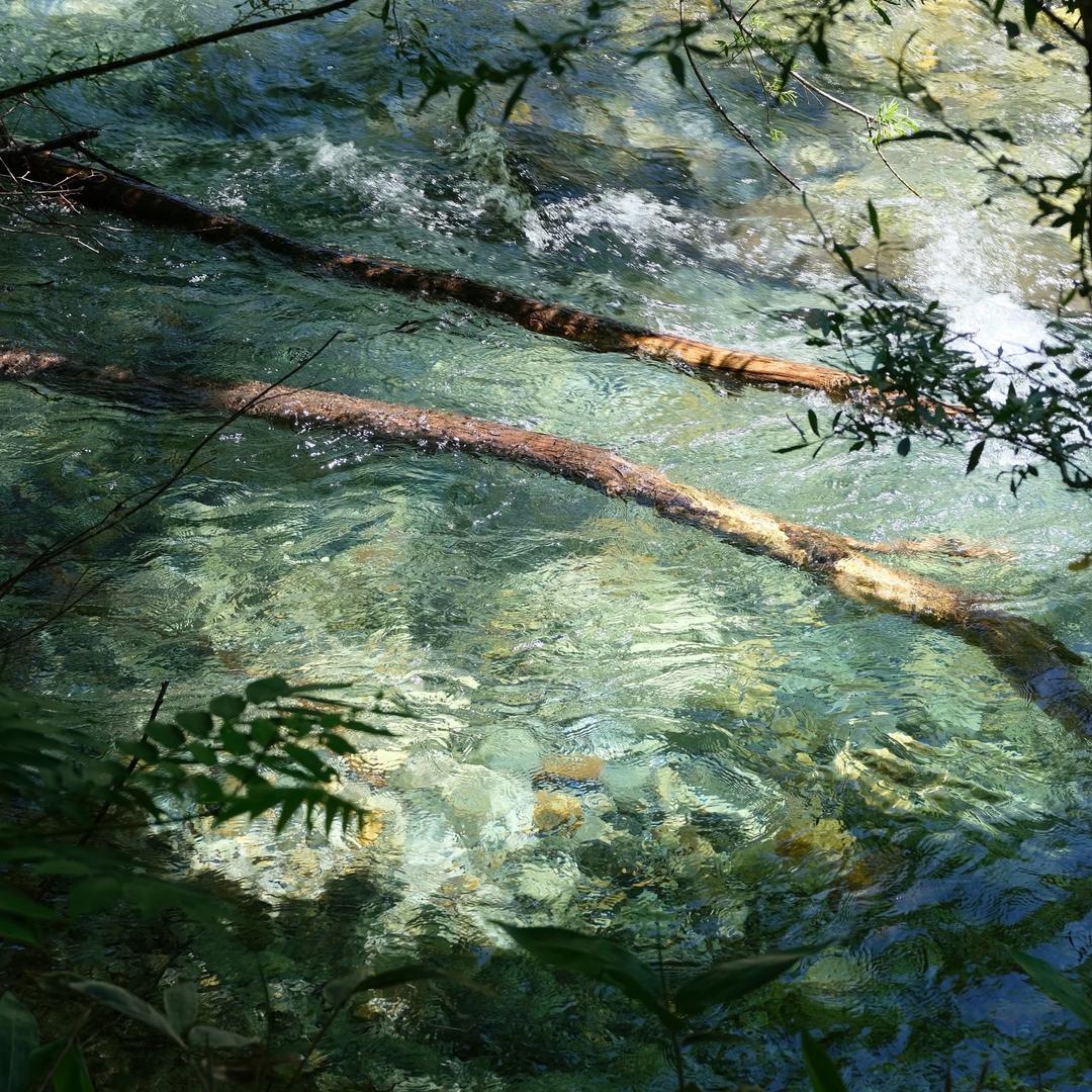 rivulet