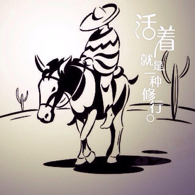 不负芳华