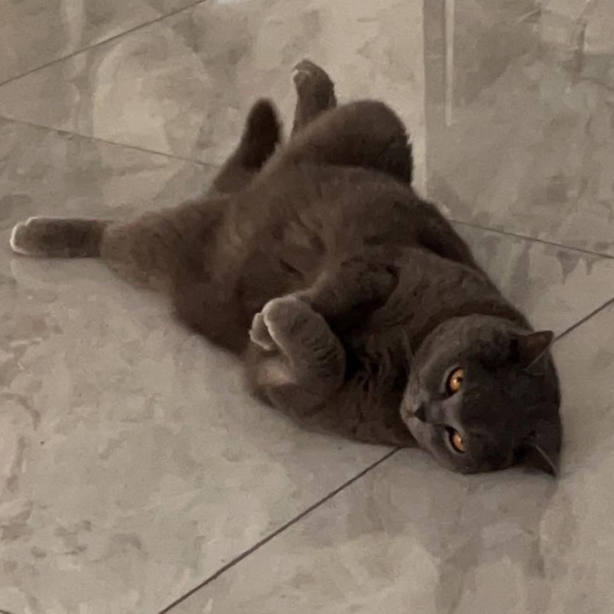 @@@@@@