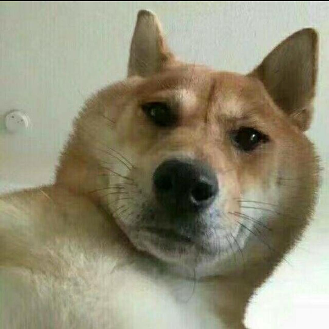 薛薛