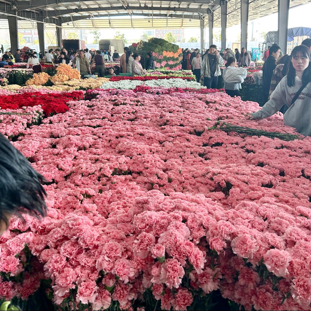 斗南鲜花批发