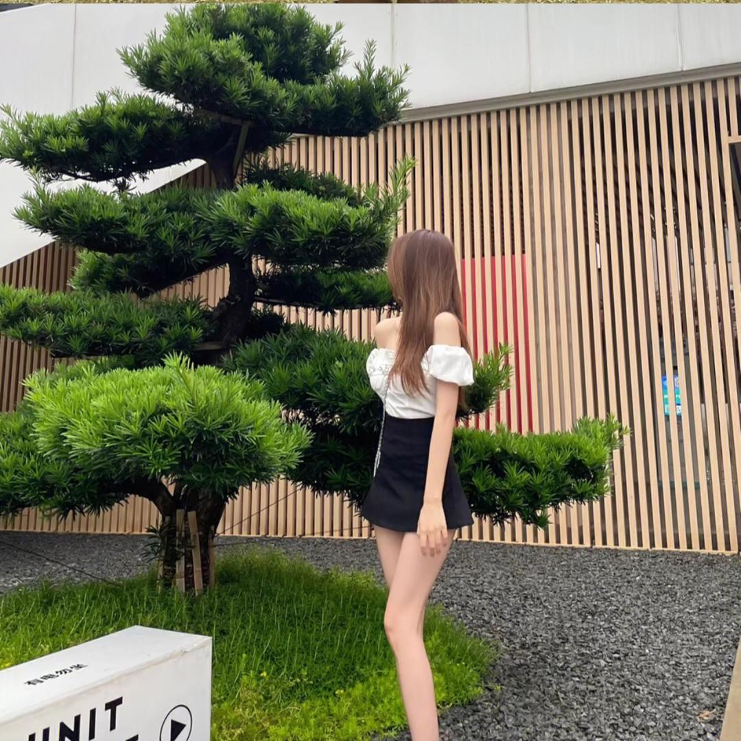猪肉包