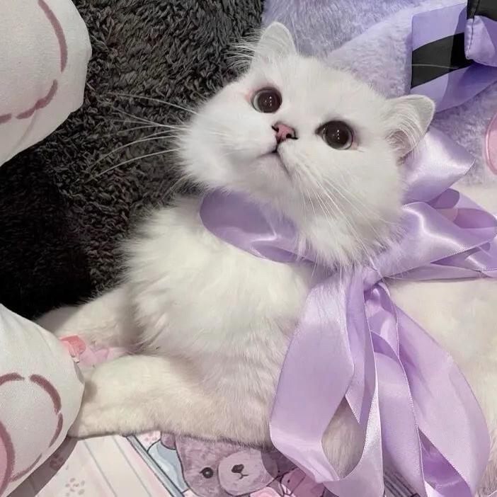 熹过过👀