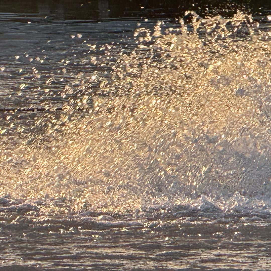 这个玩家很懒什么都没写