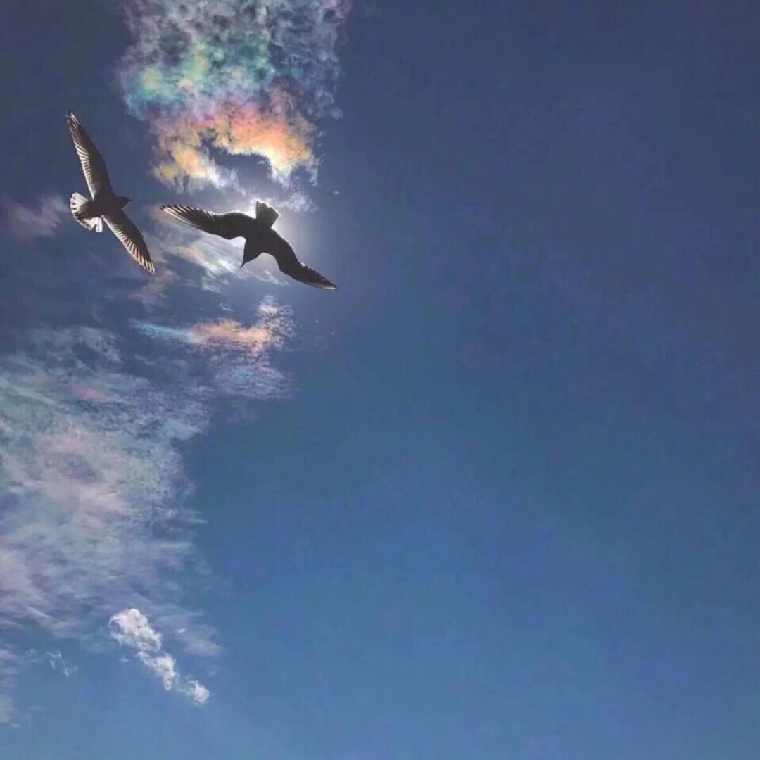 答案