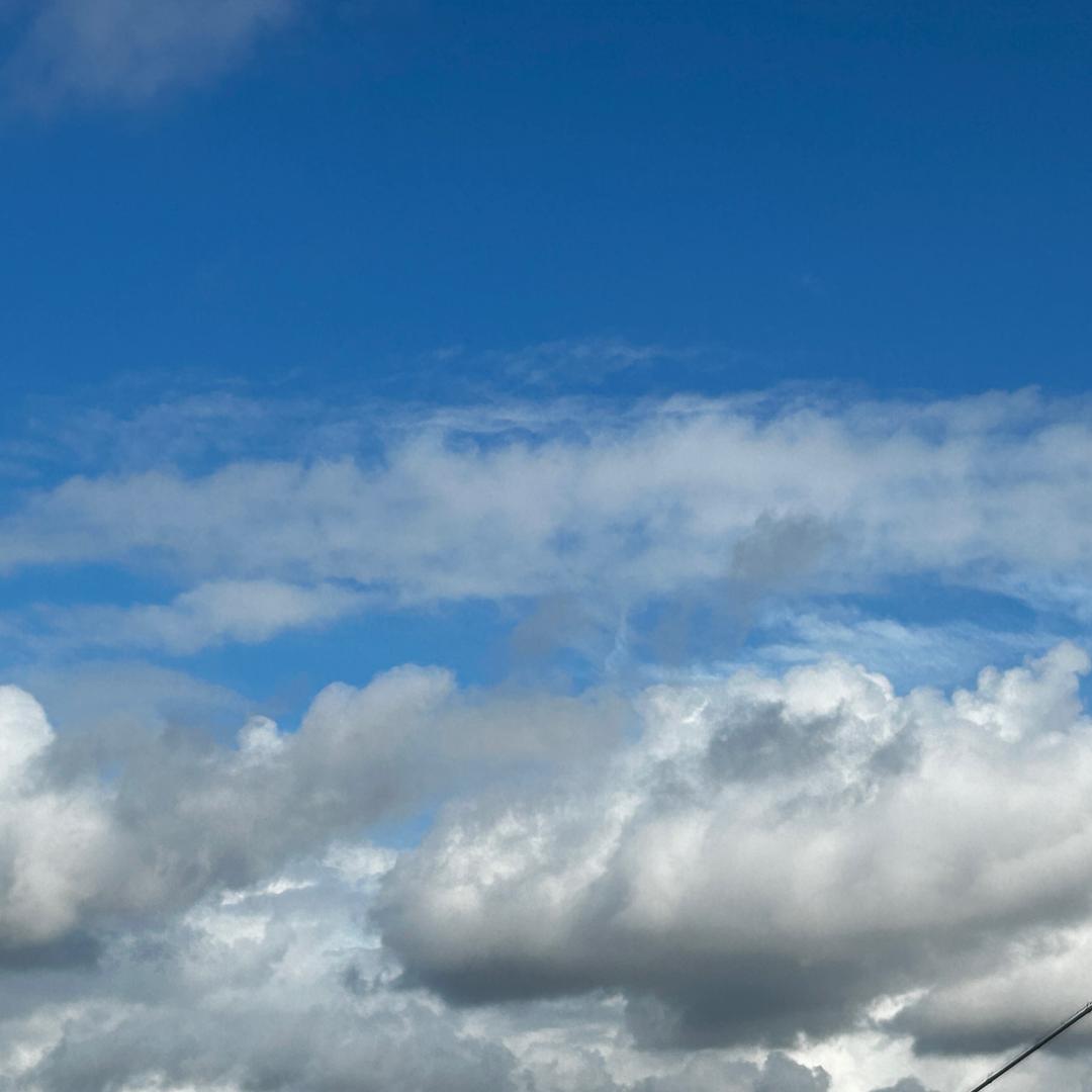 ………。。。。。