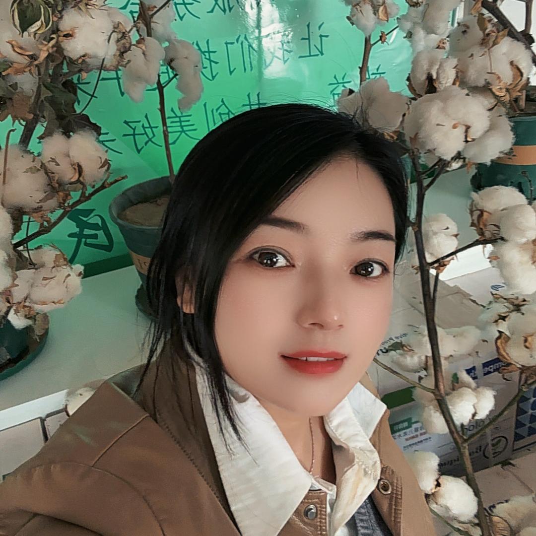 棉花燕子-聚农惠鼎棉种业